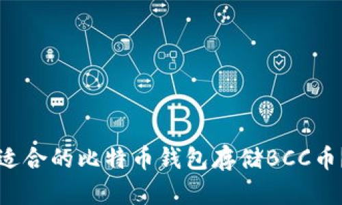 如何选择适合的比特币钱包存储BCC币？全面指南
