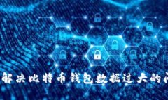 如何解决比特币钱包数据