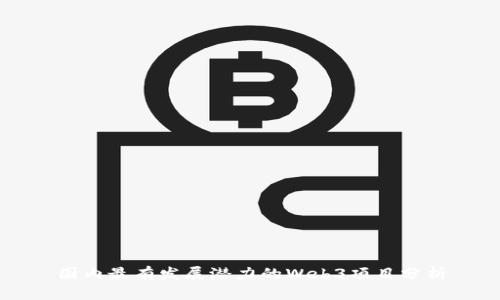 国内最有发展潜力的Web3项目分析
