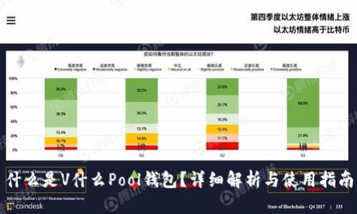 什么是V什么Pool钱包？详细解析与使用指南