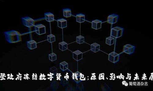 拜登政府冻结数字货币钱包：原因、影响与未来展望