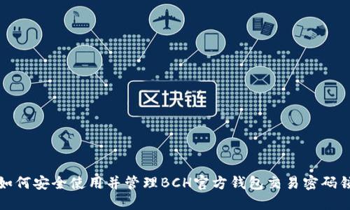 如何安全使用并管理BCH官方钱包交易密码锁