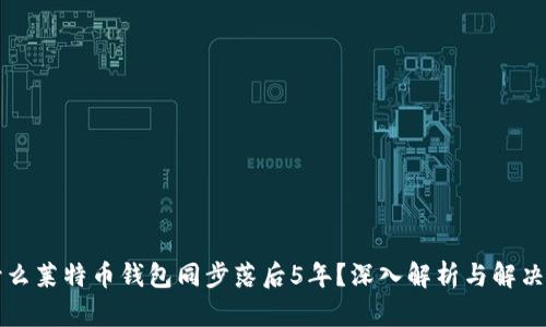 为什么莱特币钱包同步落后5年？深入解析与解决方案