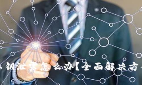 : tpWallet私钥泄露怎么办？全面解决方案与预防措施