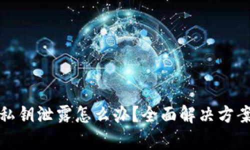 : tpWallet私钥泄露怎么办？全面解决方案与预防措施