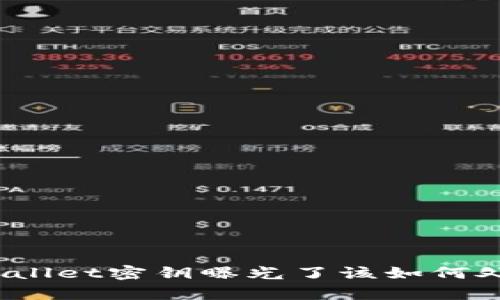 tpWallet密钥曝光了该如何处理？