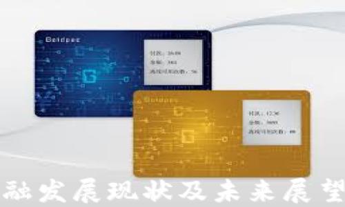 
区块链金融发展现状及未来展望工作汇报